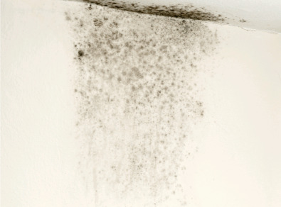 담양 주택 아파트 공장 결로검사 결로공사 시공업체